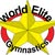 World Elite Gymnastics Ontario