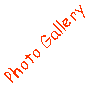Photo Gallery