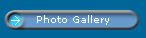 Photo Gallery